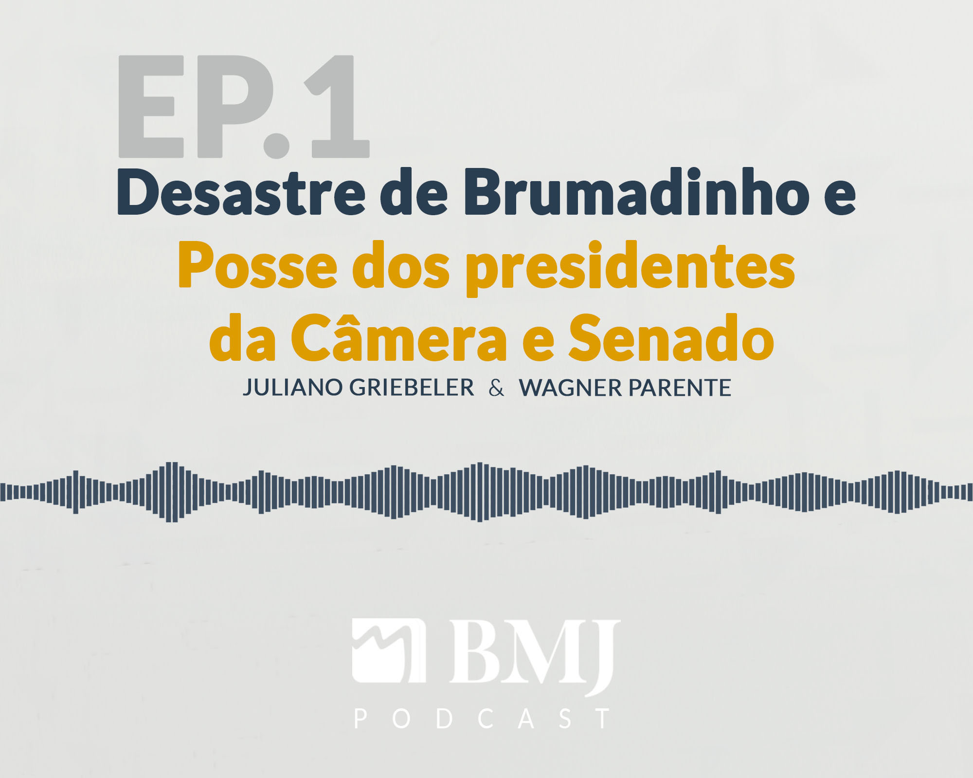 Piloto -Desastre de Brumadinho e Posse da Câmara e Senado