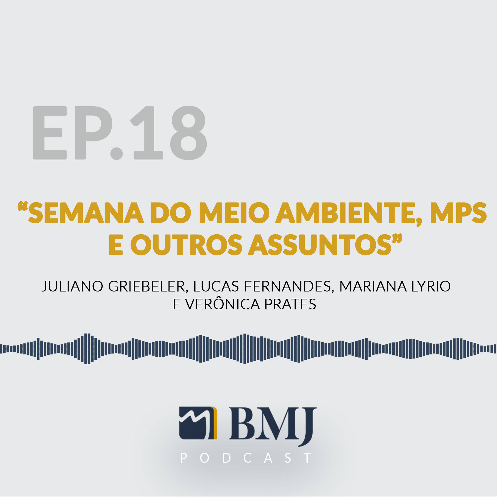 Semana do Meio Ambiente, MPs e Orçamento Impositivo, Bolsonaro na Argentina e outros assuntos