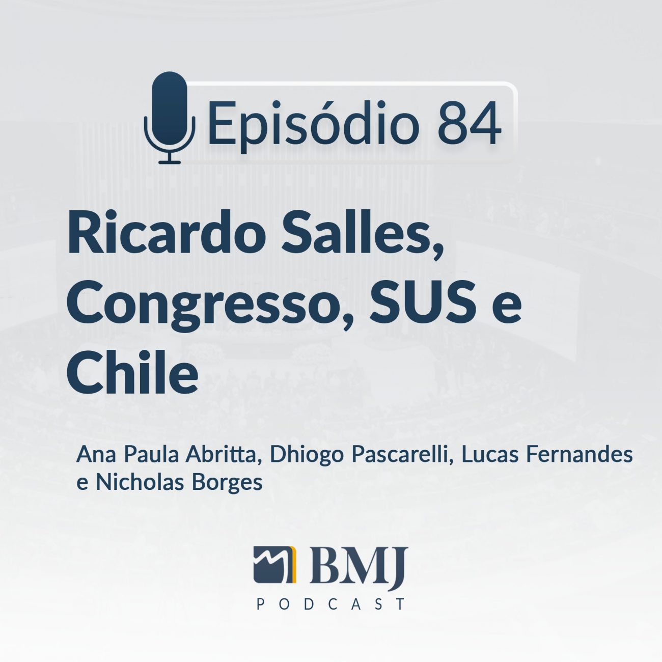 Ricardo Salles, Congresso, SUS e Chile